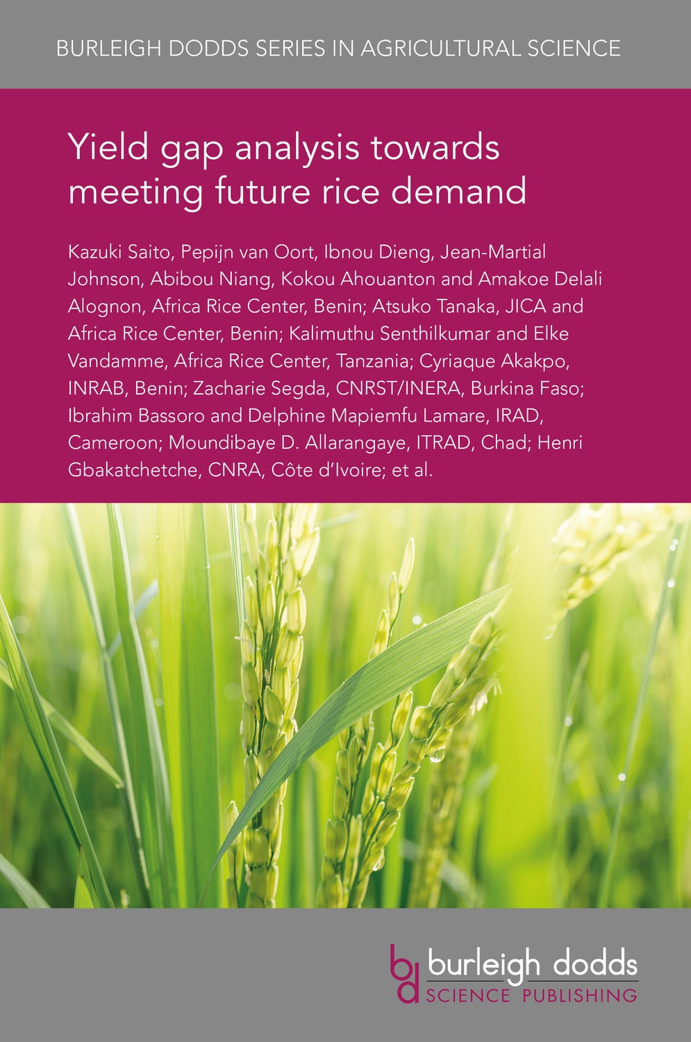 Book cover image for Yield gap analysis towards meeting future rice demand ISBN: 9781838792503